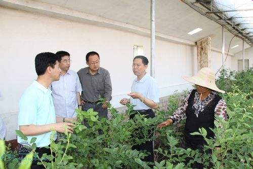 植物冠層分析儀在鄭州林業(yè)局的實(shí)際應(yīng)用